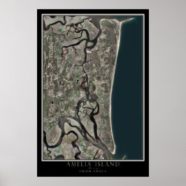 Amelia Florida från Space Satellite Karta Poster