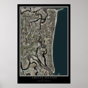 Amelia Florida från Space Satellite Karta Poster