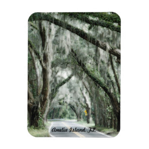Amelia Island FL. magnet