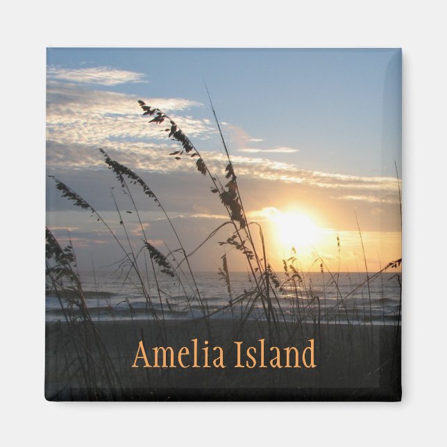 Amelia Island magnet (Framsidan)