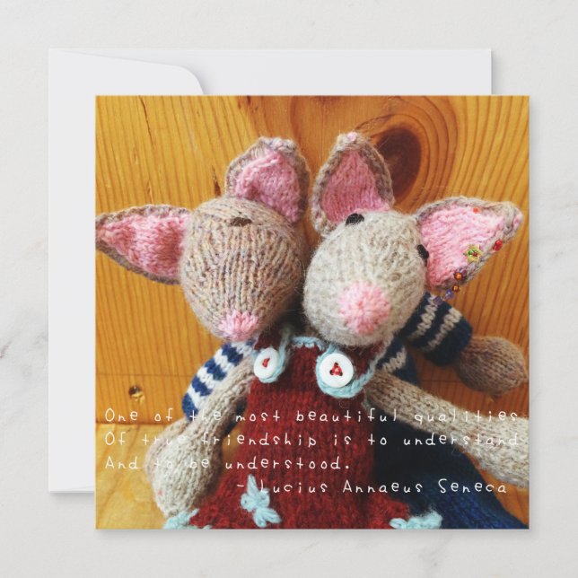 Amelias Fantastisk (Framsida)