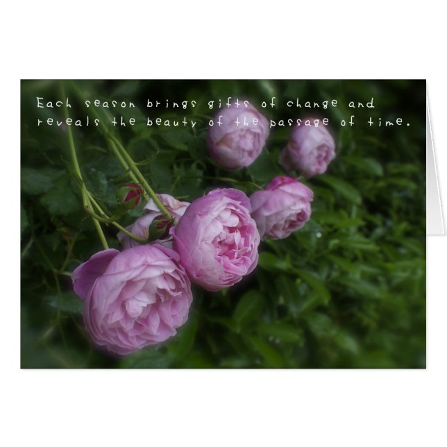 Amelias Fantastisk Hälsningskort (Framsidan Horizontal)