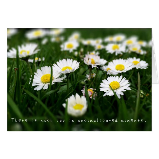 Amelias Fantastisk Journal Hälsningskort (Framsidan Horizontal)