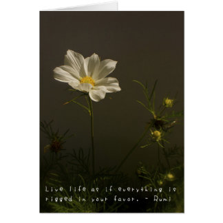 Amelias fantastiskäventyr hälsningskort