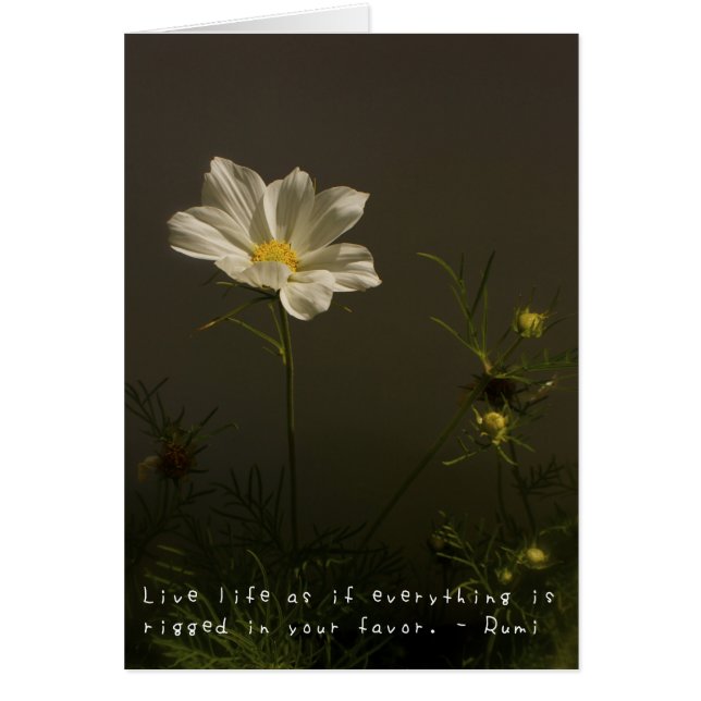 Amelias fantastiskäventyr hälsningskort (Framsidan)