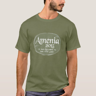 Amenia 2013 t-shirt