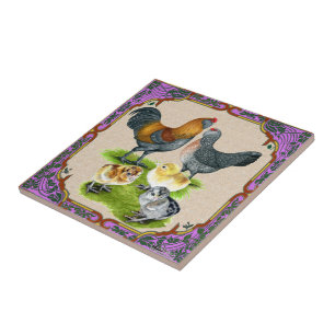 Ameraucana Familj inramad Kakelplatta