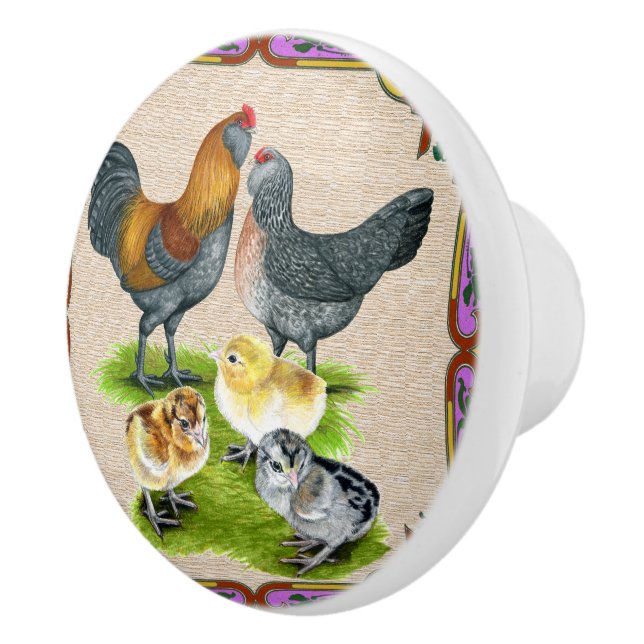 Ameraucana Familj inramad Knopp (Höger)