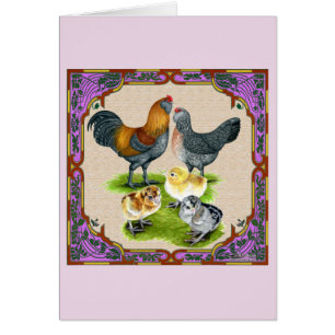 Ameraucana Familj inramad OBS Kort
