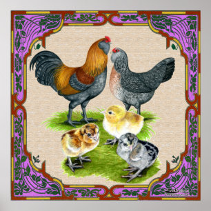 Ameraucana Familj inramad Poster