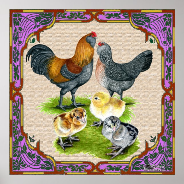 Ameraucana Familj inramad Poster (Framsidan)