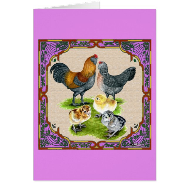 Ameraucana Family Framed OBS Kort (Framsidan)
