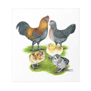 Ameraucana Kycklingfamilj Anteckningsblock