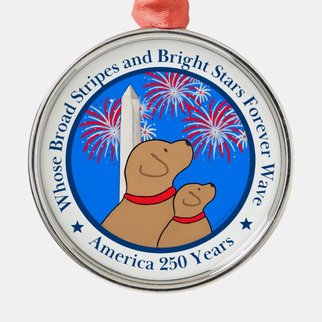 America 250 DC Edition Julgransprydnad Metall (Framsidan)