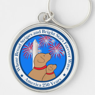 America 250 Special Edition DC Rund Silverfärgad Nyckelring
