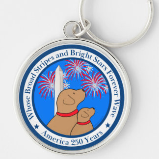 America 250 Special Edition DC Rund Silverfärgad Nyckelring