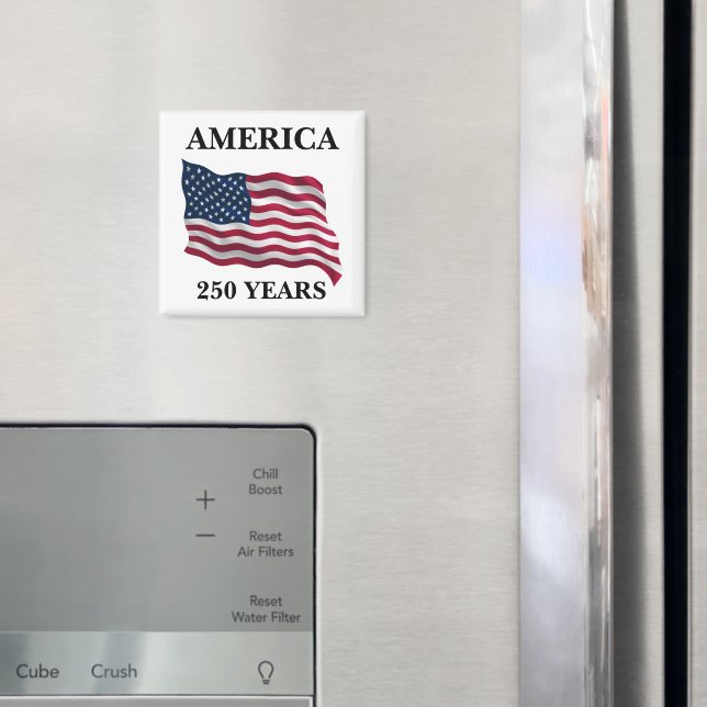 America 250 Years Flag Magnet (In Situ (Fridge))