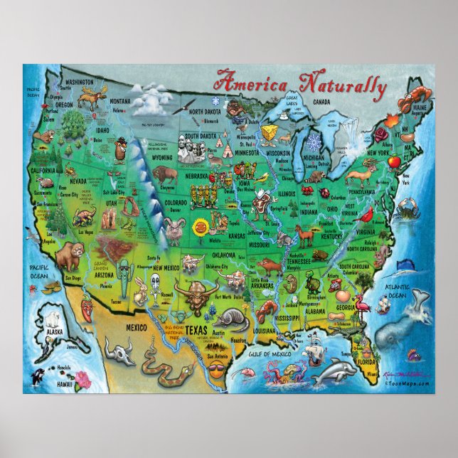 America Naturally Fun Map Poster (Framsidan)