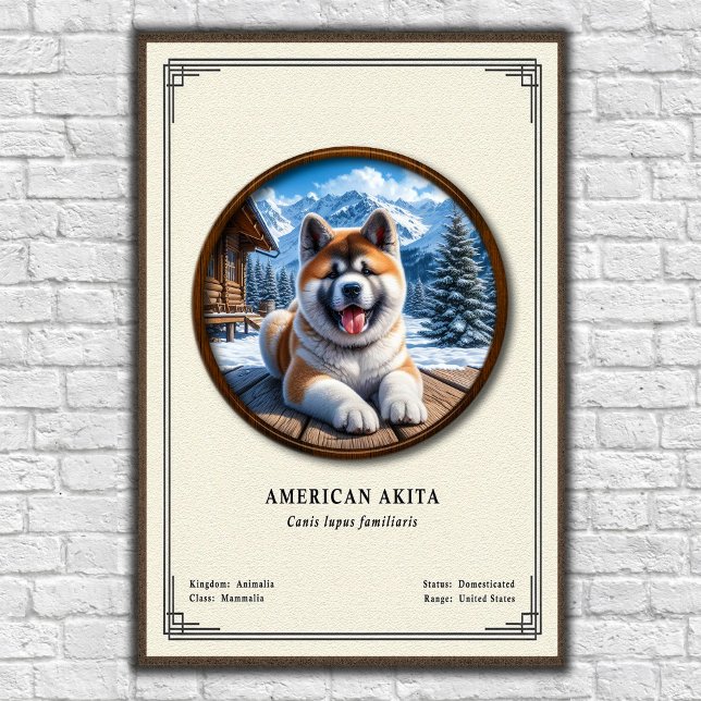 American Akita Zoology Series Poster (Skapare uppladdad)