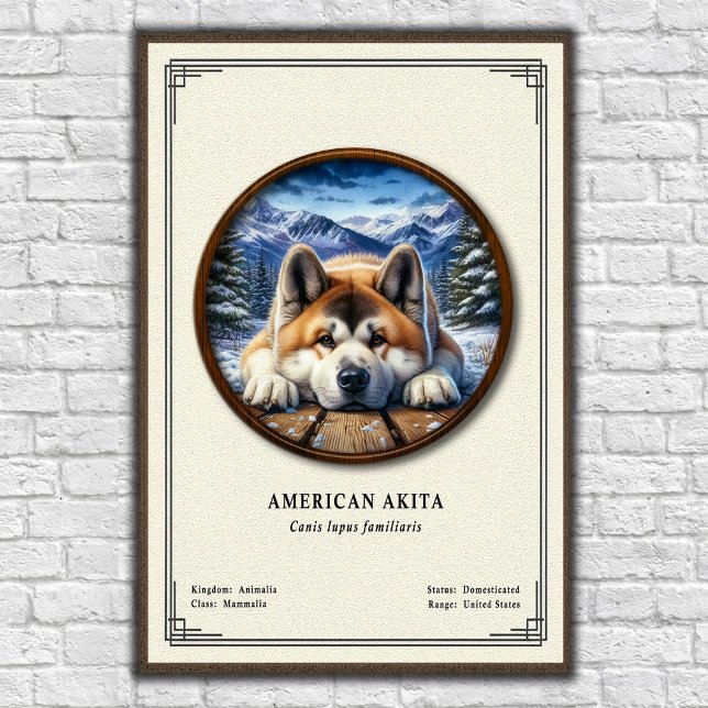 American Akita Zoology Series Poster (Skapare uppladdad)