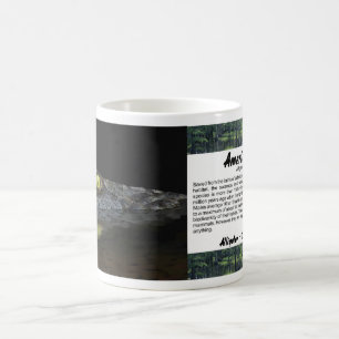 American Alligator Kaffemugg