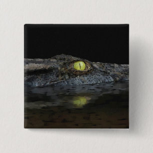 American Alligator Knapp