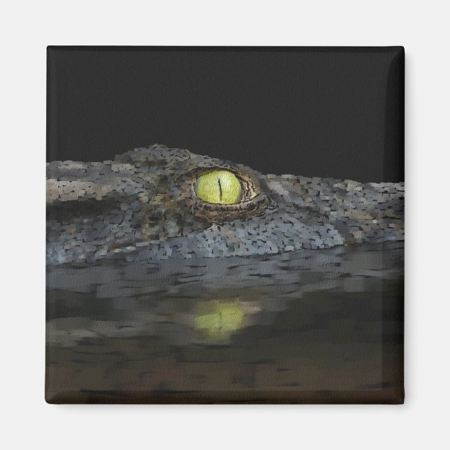 American Alligator Magnet (Framsidan)