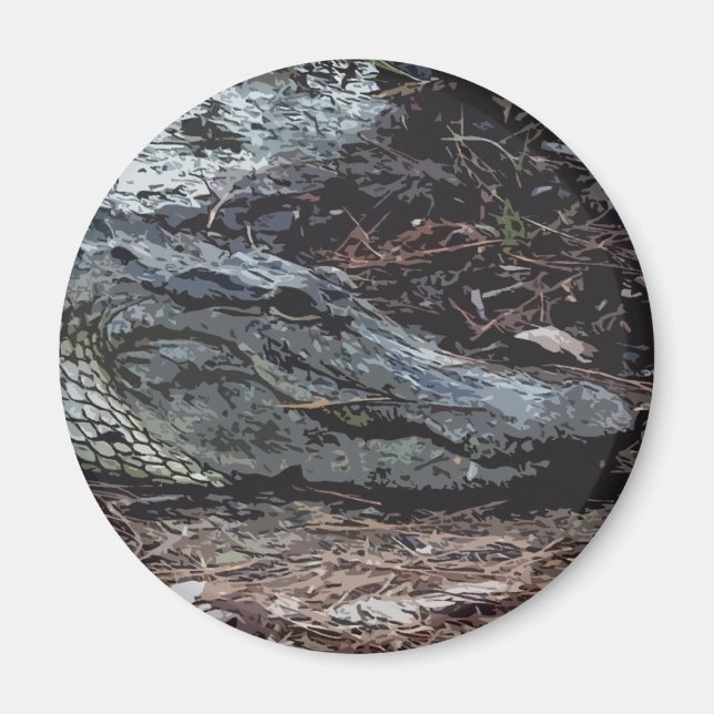 American Alligator Magnet (Framsidan)