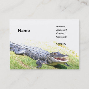 american alligator visitkort