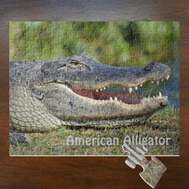 American Alligator Wildlife Photography Pussel