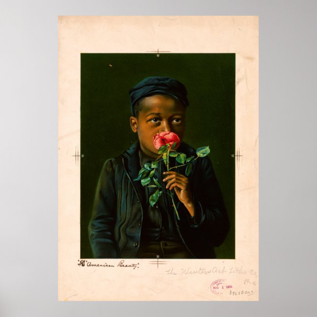 American Beauty (1895) Poster (Framsidan)