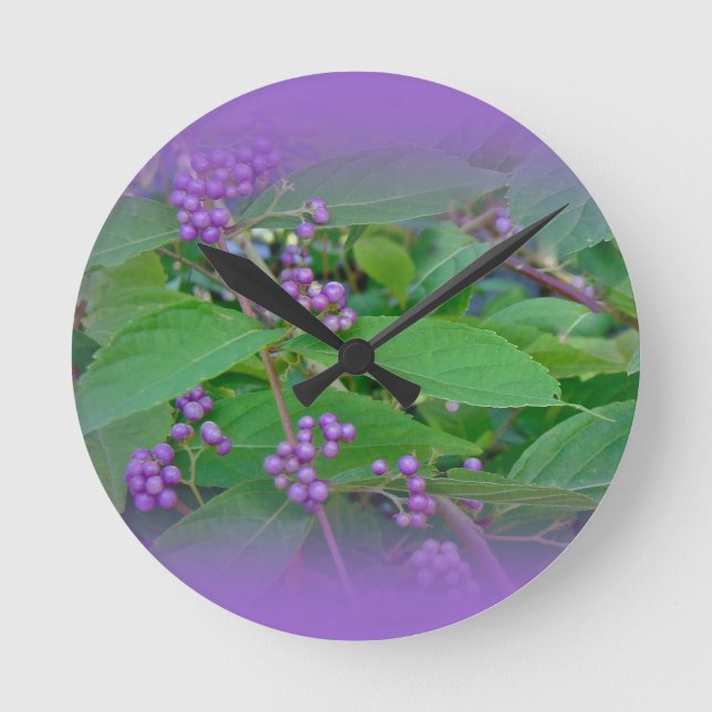 American Beautyberry (Callicarpa americana) Rund Klocka (Framsida)