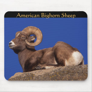 American Bighorn Sheep Mousepad Musmatta
