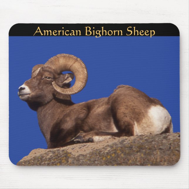 American Bighorn Sheep Mousepad Musmatta (Framsidan)