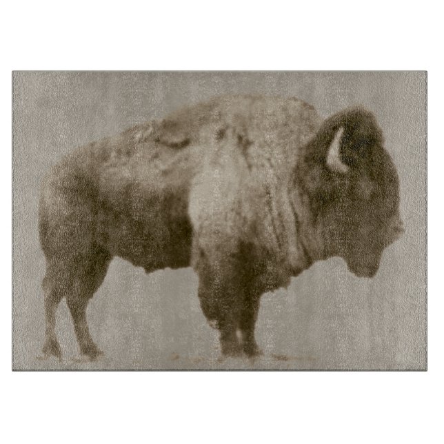 American Bison (Framsidan)