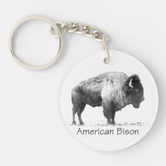 American Bison