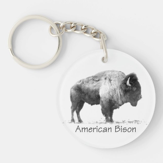 American Bison (Framsidan)