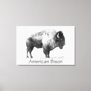 American Bison Canvastryck