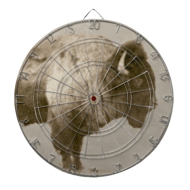 American Bison Darttavla (Framsidan)