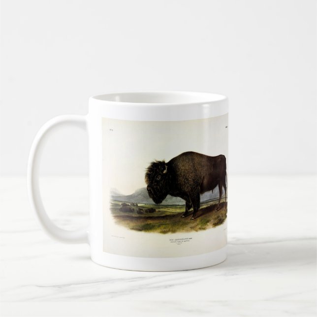 American Bison, eller Buffalo (Bison bison) - Audu Kaffemugg (Vänster)