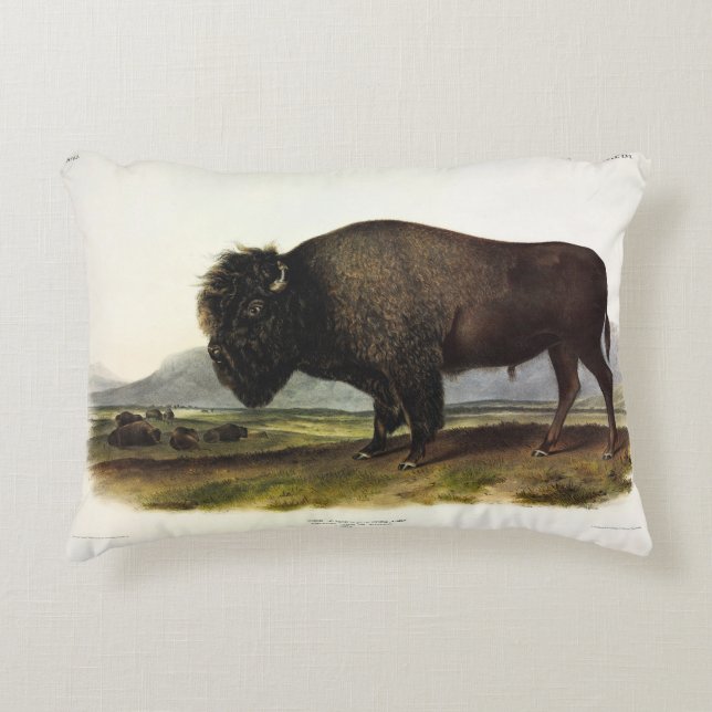 American Bison, eller Buffalo (Bison bison) - Audu Prydnadskudde (Framsidan)