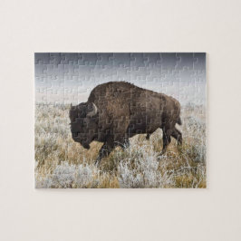 American Bison eller Buffalo Pussel