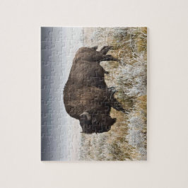 American Bison eller Buffalo Pussel
