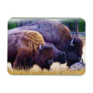 American Bison Family Magnet