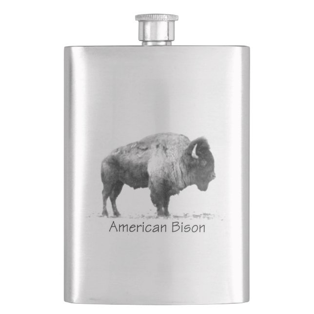 American Bison Fickplunta (Framsidan)