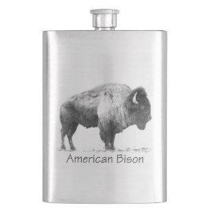 American Bison Fickplunta