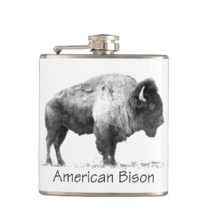 American Bison Fickplunta