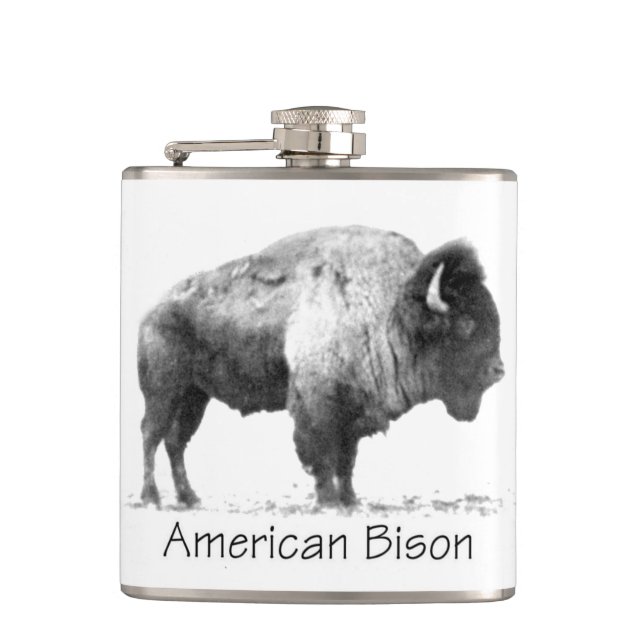 American Bison Fickplunta (Framsidan)