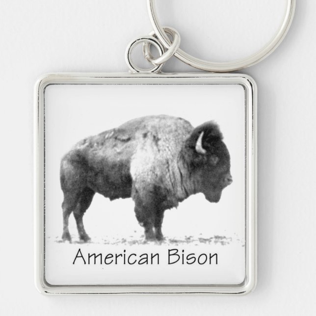 American Bison Fyrkantig Silverfärgad Nyckelring (Framsidan)