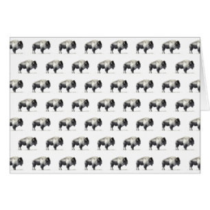 American Bison Hälsningskort